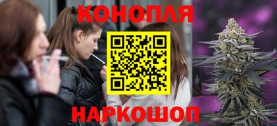 кокс Шебекино
