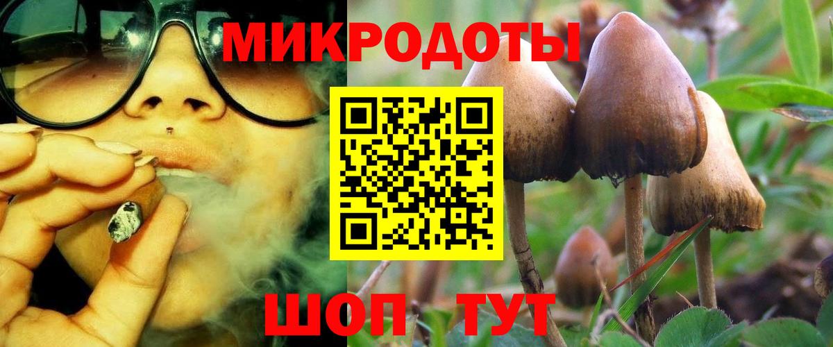 Псилоцибиновые грибы Cubensis Благодарный